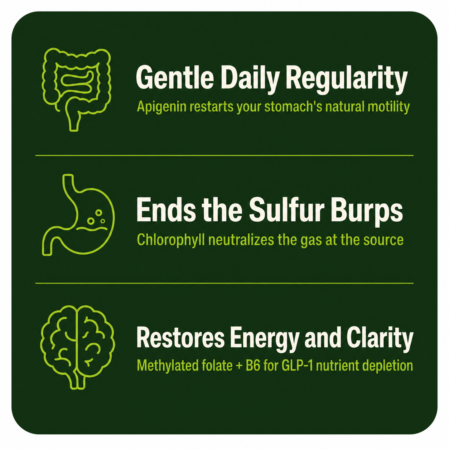 Three benefits: gentle daily regularity from apigenin, an end to sulfur burps from chlorophyll, and restored energy and clarity from methylated folate + B6.