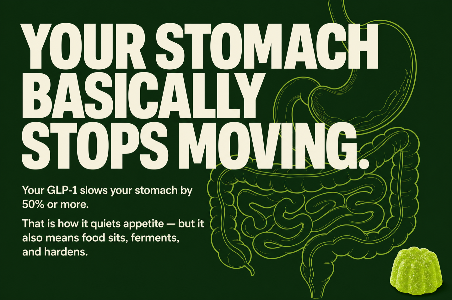 Your stomach basically stops moving — your GLP-1 slows your stomach by 50% or more, so food sits, ferments, and hardens.